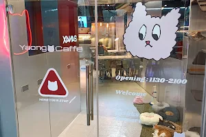 Yaong Caffe 貓咪咖啡廳＆24N4X 韓國服飾｜基隆深夜韓系貓咪咖啡廳｜♥ 必須和10隻貓貓共處一室的深夜咖啡廳 image