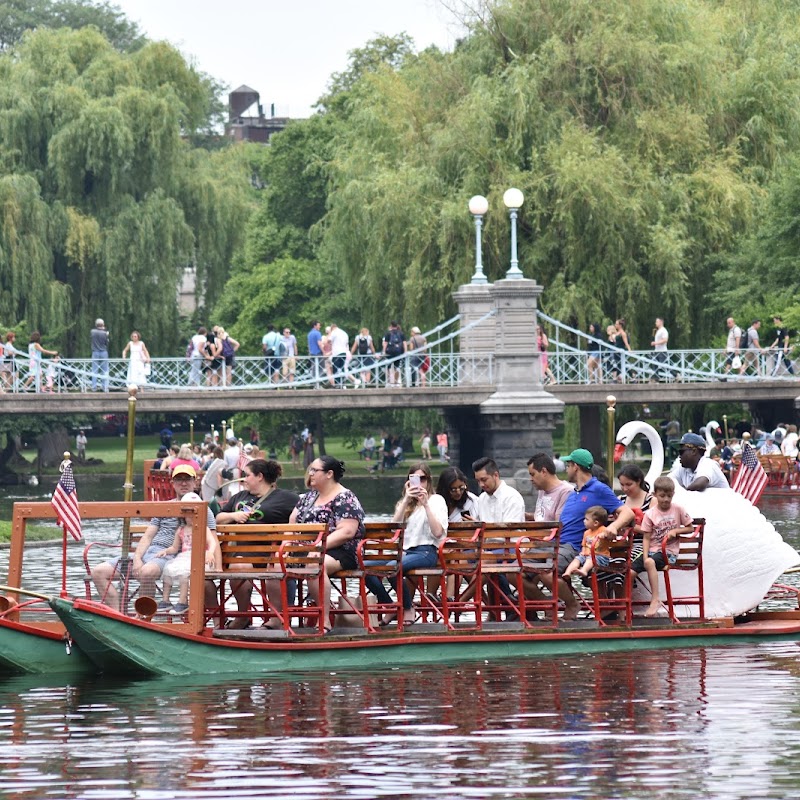 Swan Boats