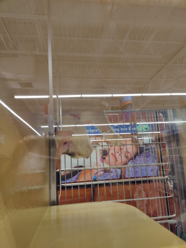 Pet Supply Store «PetSmart», reviews and photos, 5722 S Transit Rd, Lockport, NY 14094, USA