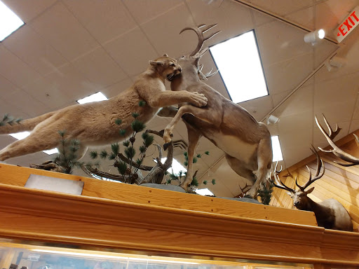 Shopping Mall «Columbia Mall», reviews and photos, 2800 S Columbia Rd, Grand Forks, ND 58201, USA