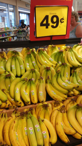 Grocery Store «Food Lion», reviews and photos, 38650 Sussex Hwy Unit 1, Delmar, DE 19940, USA