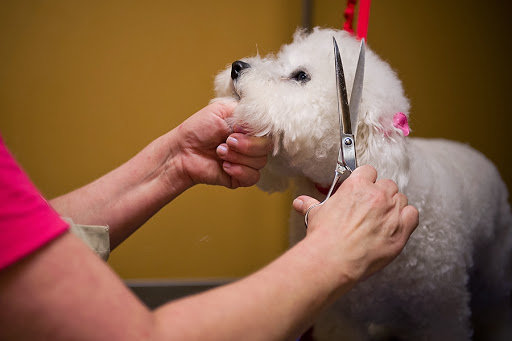 Pet Boarding Service «The Puppy Pantry», reviews and photos, 2590 Hamilton Mill Rd, Buford, GA 30519, USA