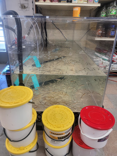 Convenience Store «K-V Bottle Shop», reviews and photos, 5200 Lake Isabella Blvd, Lake Isabella, CA 93240, USA