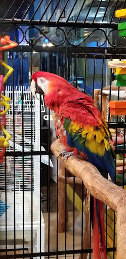 Pet Store «Pet Kingdom», reviews and photos, 4650 S Cleveland Ave, Fort Myers, FL 33907, USA