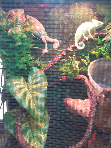 Pet Supply Store «Pets Plus», reviews and photos, 2286 Main St, Tewksbury, MA 01876, USA