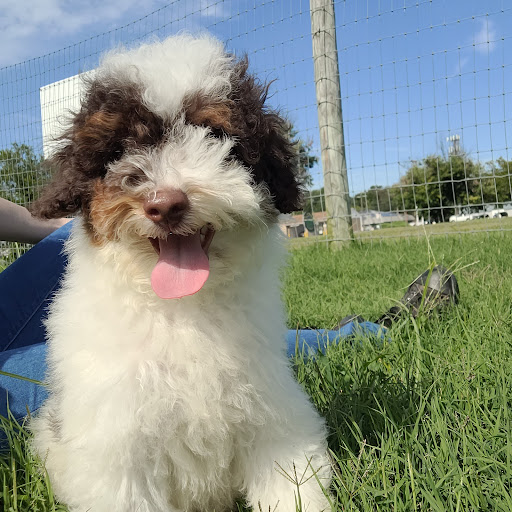 Pet Store «PV Pets», reviews and photos, 233 S Broadway, Pennsville, NJ 08070, USA