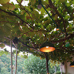 Photo n°3 de l'avis de Ulrich.e fait le 25/09/2020 à 20:35 sur le  Rathausstübchen à Ediger-Eller