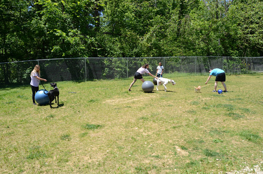 Dog Trainer «Mad 4 My Dog», reviews and photos, 702 E Temperance St, Ellettsville, IN 47429, USA