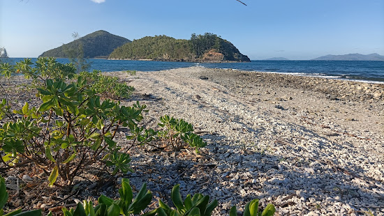 Paddle Bay Beach