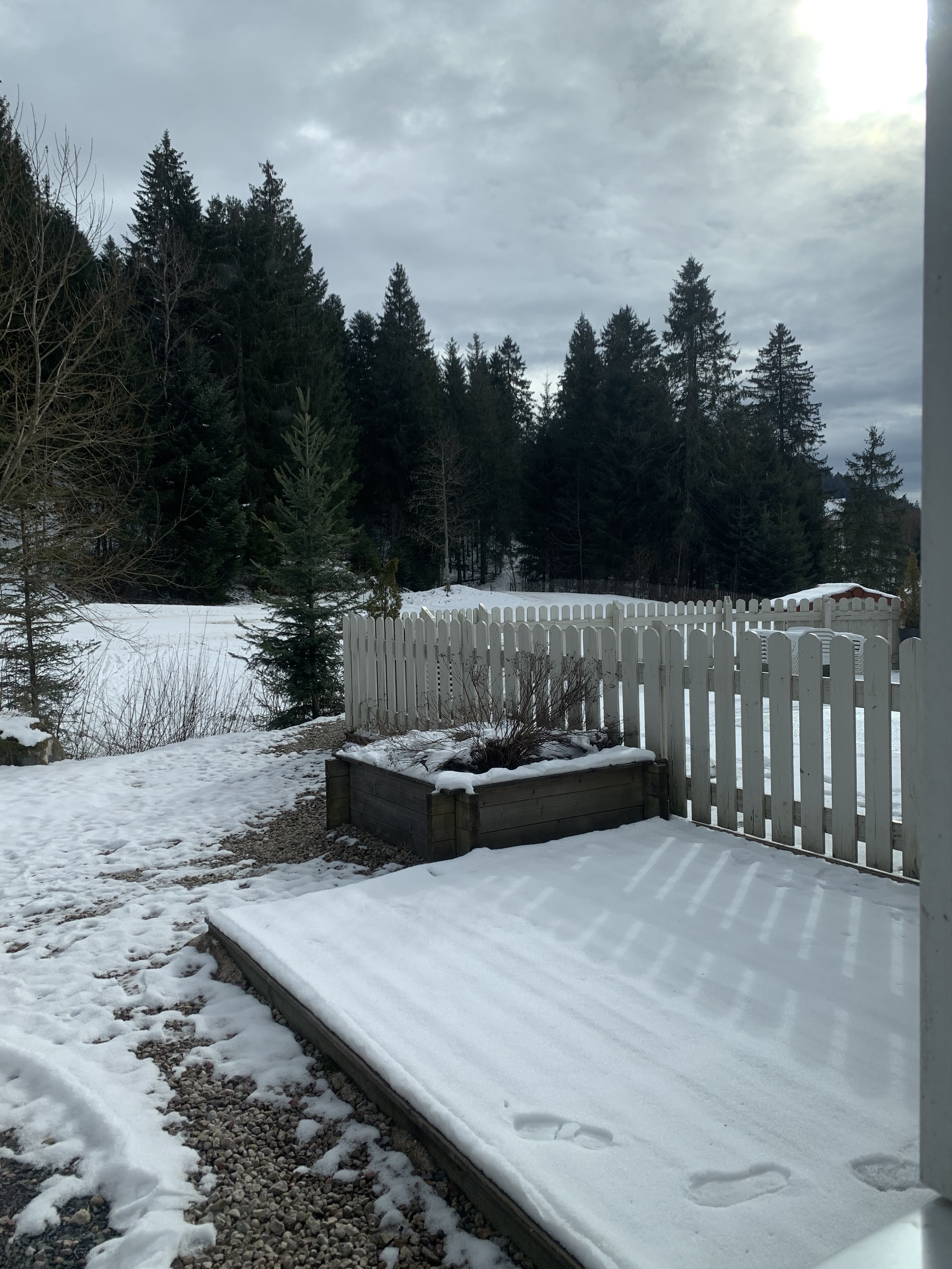 Photo n° 1 de l'avis de Lou. fait le 15/02/2021 à 13:11