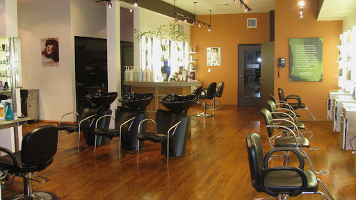 Hair Salon «Ted & Company Salon», reviews and photos, 1444 Richmond Rd, Staten Island, NY 10304, USA