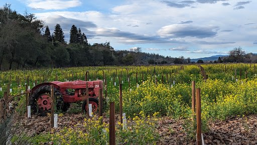 BACA Wines image