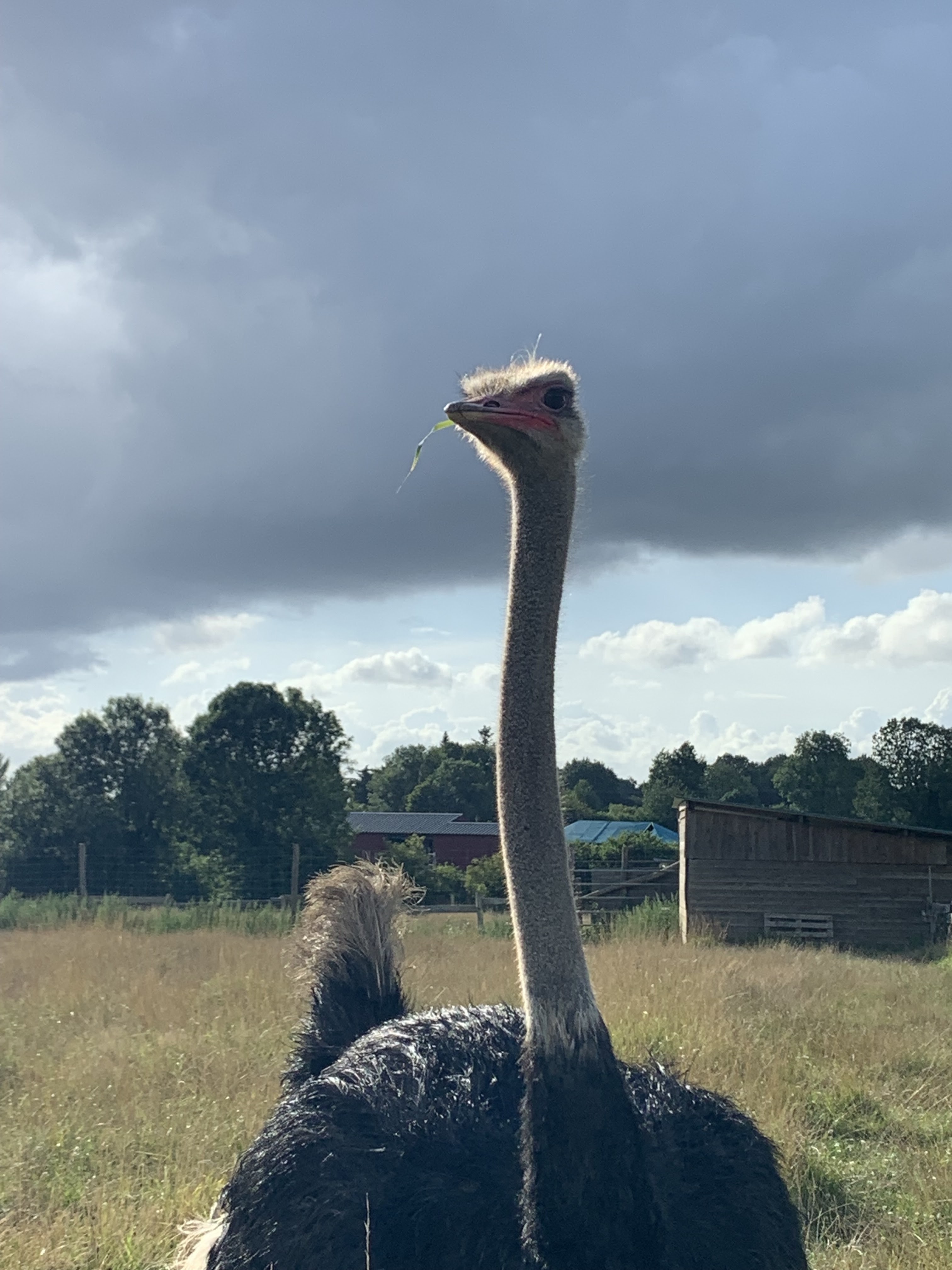 Photo n° 1 de l'avis de Elodie.e fait le 07/08/2021 à 22:48