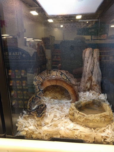 Pet Supply Store «PetSmart», reviews and photos, 9589 Ridgetop Blvd NW, Silverdale, WA 98383, USA