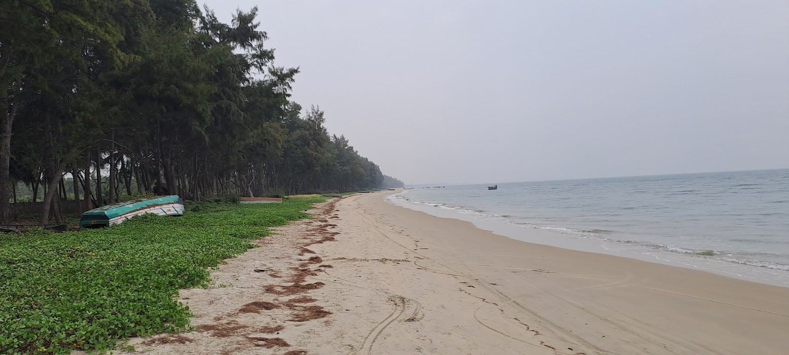 Φωτογραφία του Muthupettai Cruz Fernandez Beach με καθαρό νερό επιφάνεια