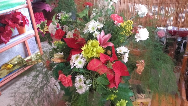 Floristerías Al Andalus