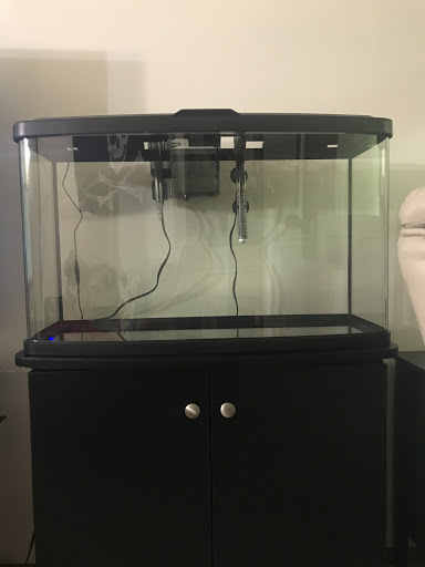 Pet Store «Bluewater Zoo Exotic Aquariums & Reptiles», reviews and photos, 159 Miracle Strip Pkwy SE, Fort Walton Beach, FL 32548, USA