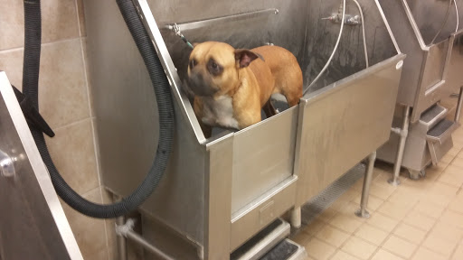 Pet Supply Store «Pet Supplies Plus», reviews and photos, 1616 Precinct Line Rd, Hurst, TX 76054, USA