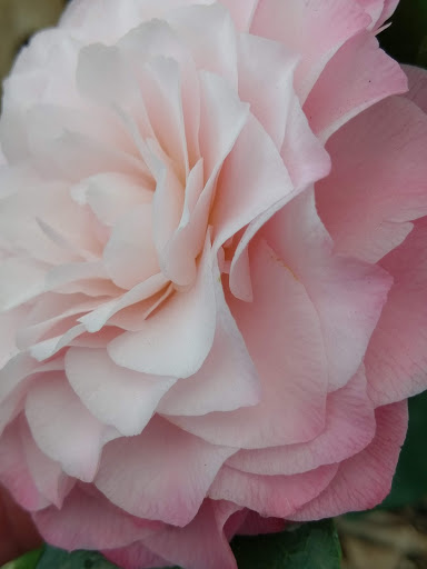 Animal Feed Store «Wilco Farm Store», reviews and photos, 734 McClaine St, Silverton, OR 97381, USA