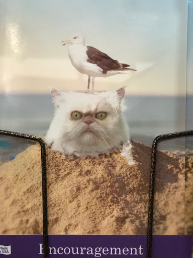 Gift Shop «Good Things For All Seasons», reviews and photos, 334 S Main St, Grapevine, TX 76051, USA