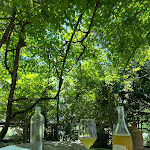 Photo n°8 de l'avis de Carolyn.u fait le 29/07/2022 à 19:10 sur le  Sotto i Sassi Bed and Bistro à Guiglia