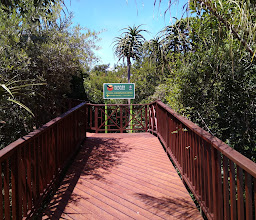 Umtiza Nature Reserve photo