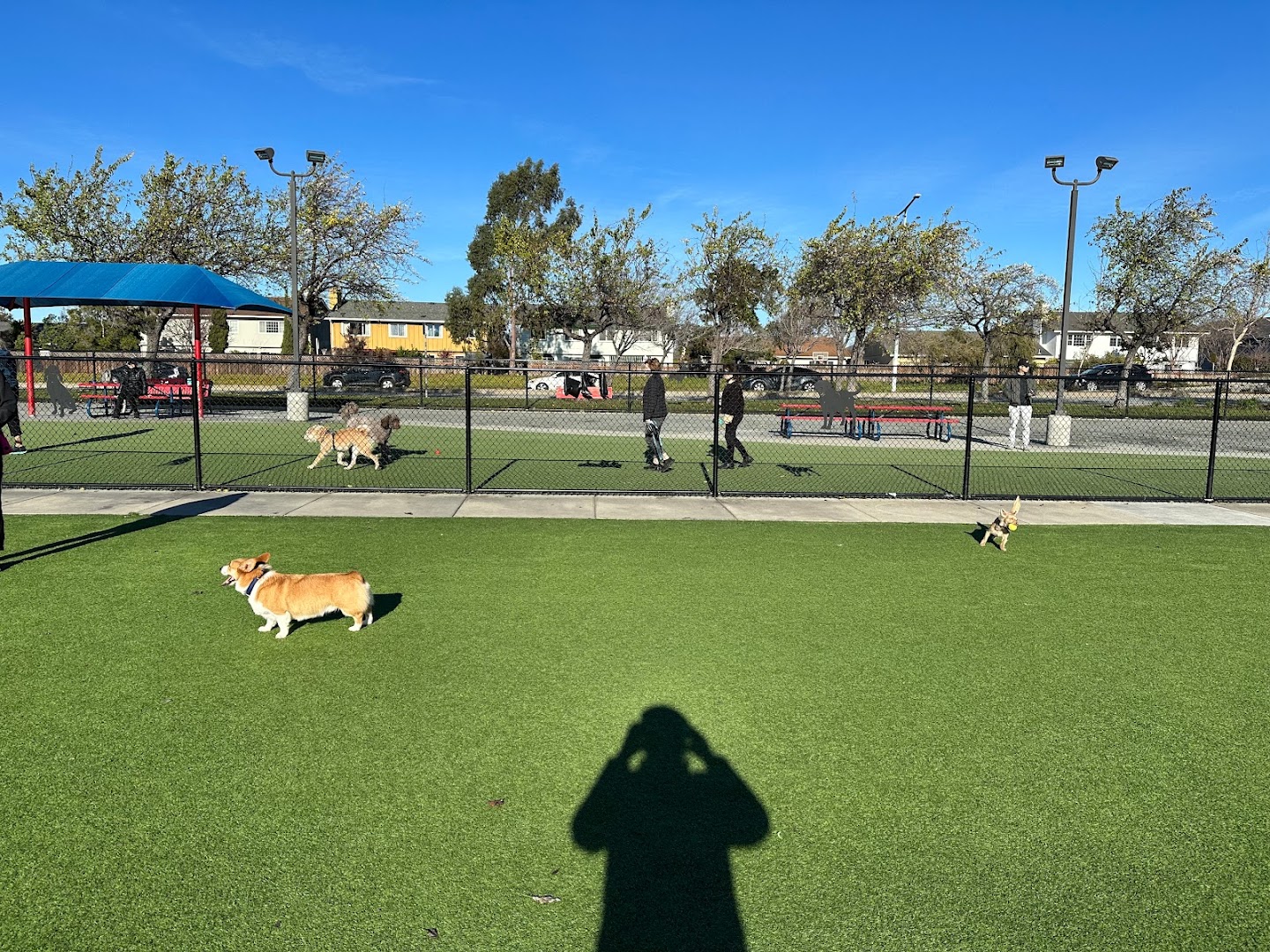 Foster City Dog Park