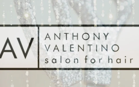 Anthony Valentino Salon for Hair image