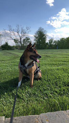 Cultural Center «Minnetrista», reviews and photos, 1200 N Minnetrista Pkwy, Muncie, IN 47303, USA