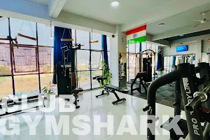 Club Gym Shark image