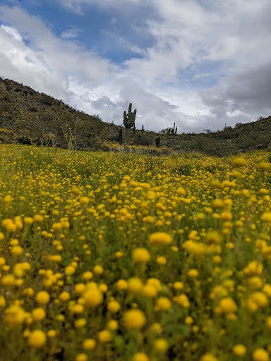 Golf Club «Golf Club at Johnson Ranch», reviews and photos, 30761 W Golf Club Dr, San Tan Valley, AZ 85143, USA