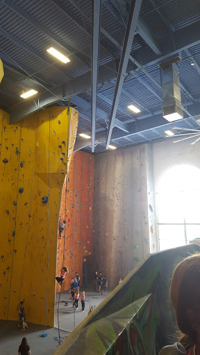 Rock Climbing «Planet Rock Climbing Gym», reviews and photos, 1103 W 13 Mile Rd, Madison Heights, MI 48071, USA