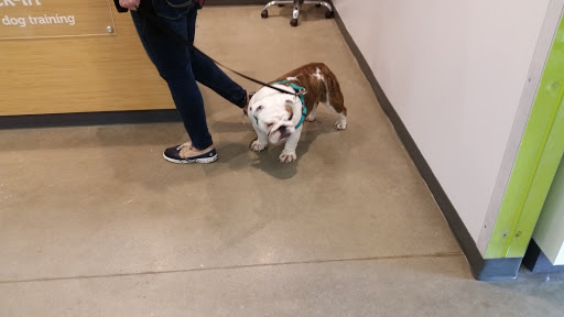 Pet Supply Store «Petco Animal Supplies», reviews and photos, 6720 Fox Centre Pkwy, Gloucester Courthouse, VA 23061, USA