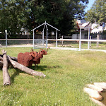 Photo n°3 de l'avis de Joseph.a fait le 28/06/2017 à 23:11 sur le  Weinfurtner - DAS GLASDORF in Arnbruck im Bayerischen Wald à Arnbruck