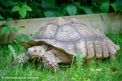 Zoo «Good Zoo & Benedum Theater», reviews and photos, 465 Lodge Dr, Wheeling, WV 26003, USA