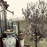 Photo n°1 de l'avis de Jola.o fait le 27/05/2023 à 19:10 sur le  Vecchia Costiera - Trattoria Moderna & Pizzeria à Caorle