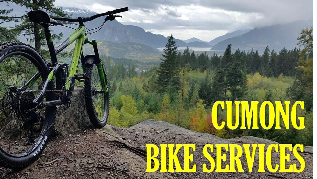 Cumong Bike Services