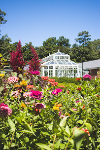 Dixon Gallery & Gardens - Photo 2 - Car repair in Memphis, TN, Memphis