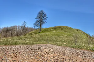 Imbarės piliakalnis image