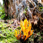 Photo n°6 de l'avis de Luc.r fait le 25/09/2023 à 08:40 sur le  Wolffhotel(Archeryhotel) à Kopp