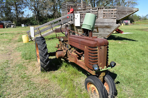 Tourist Attraction «Cajun Country Corn», reviews and photos, 40833 LA-16, Amite City, LA 70422, USA