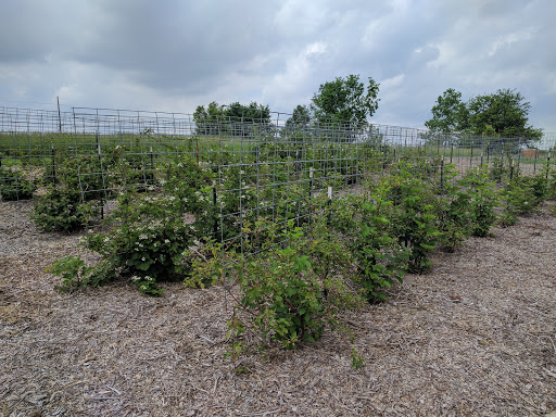 Farm «Goat Milk Stuff», reviews and photos, 76 S Lake Rd N, Scottsburg, IN 47170, USA