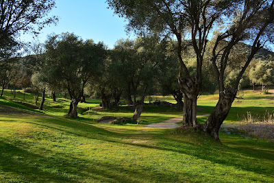 Golf Club du Reginu à Speloncato