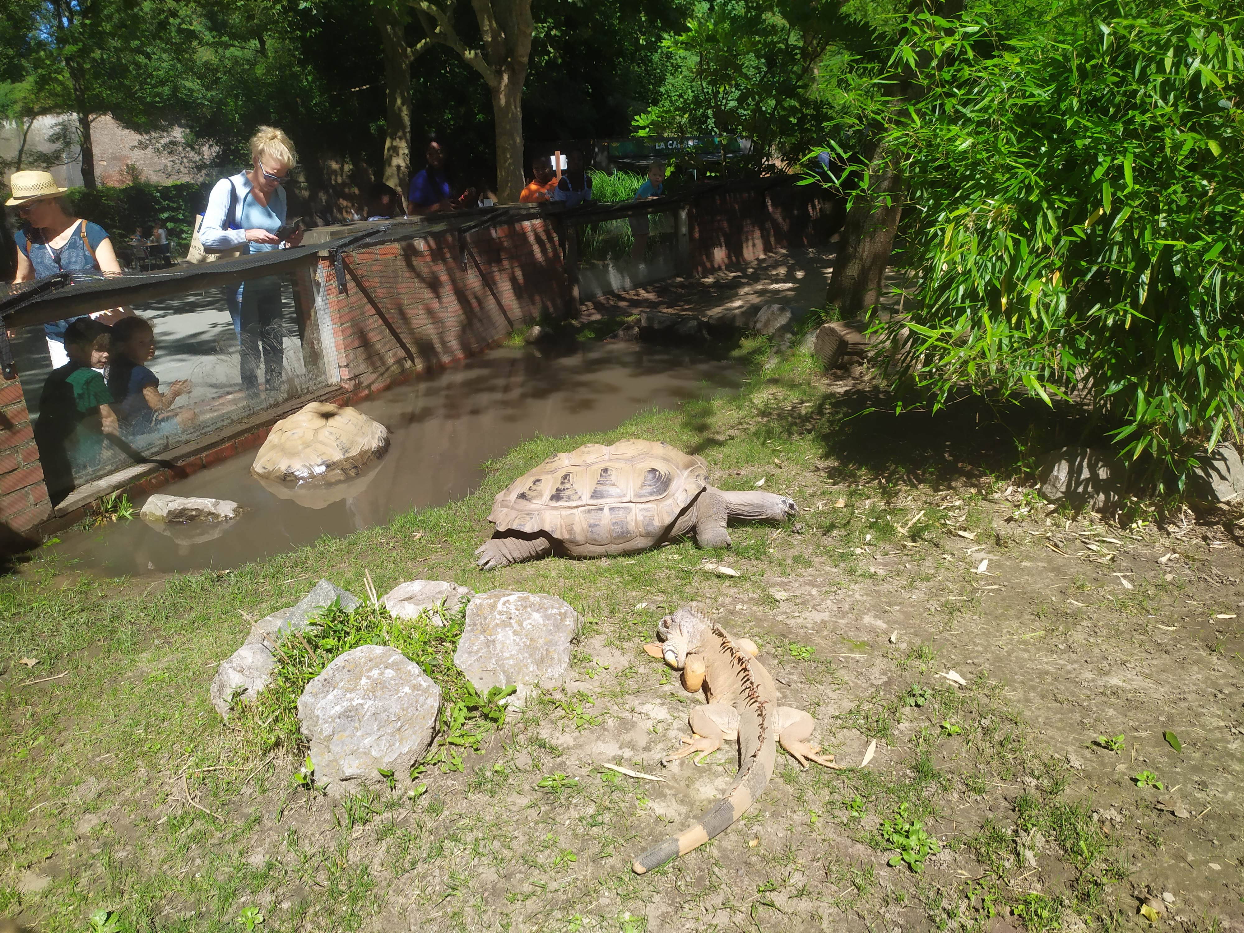 Photo n° 1 de l'avis de M.. fait le 11/08/2023 à 11:18