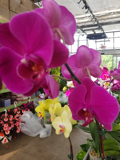 Garden Center «Blooms at Belle Mead», reviews and photos, 1980 US-206, Belle Mead, NJ 08502, USA