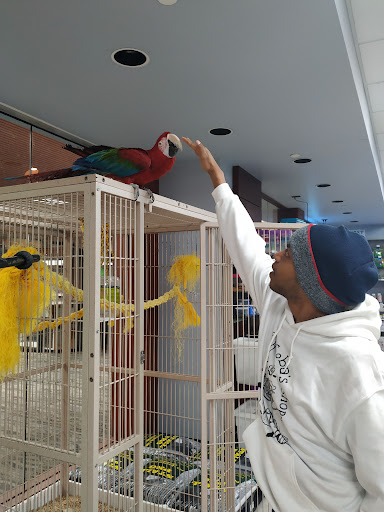 Pet Store «Petland Topeka», reviews and photos, 1801 SW Wanamaker Rd, Topeka, KS 66614, USA