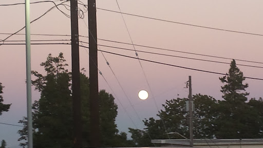 Community Center «Yesler Community Center», reviews and photos, 917 E Yesler Way, Seattle, WA 98122, USA