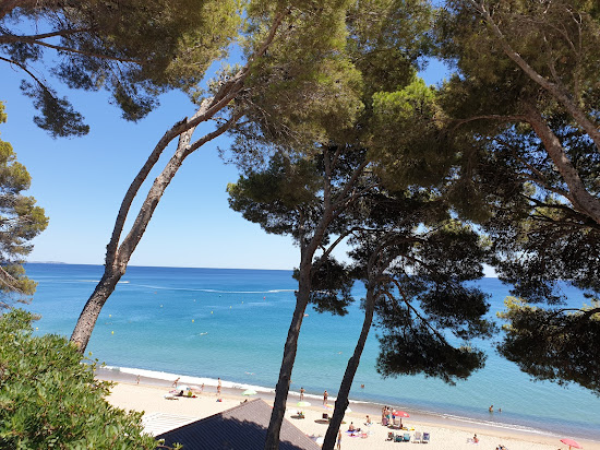Platja dels Penyals