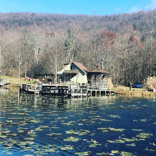 Cabin Rental Agency «Lydia Mountain Lodge & Log Cabins», reviews and photos, 426 Mountain Laurel Pass, Stanardsville, VA 22973, USA