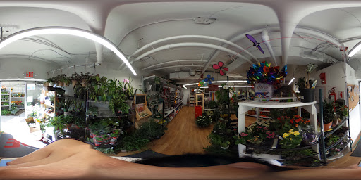 Hardware Store «Glover Park Ace Hardware», reviews and photos, 2233 Wisconsin Ave NW, Washington, DC 20007, USA